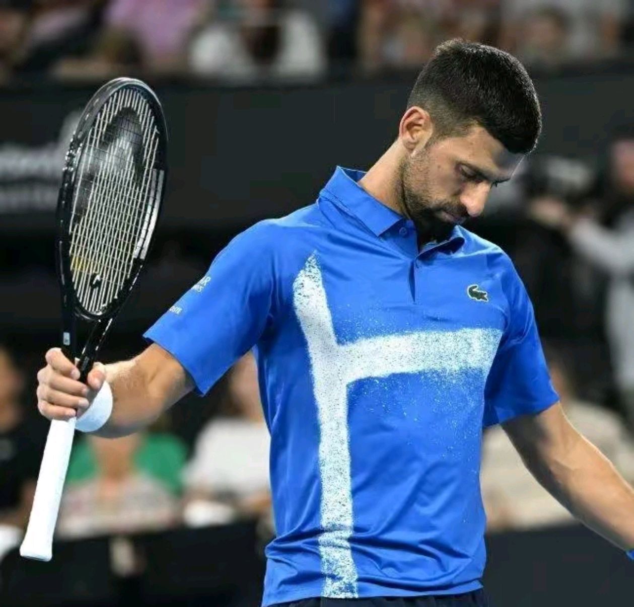 德国网球队力克美国网球队，德约科维奇绝境逆转的简单介绍